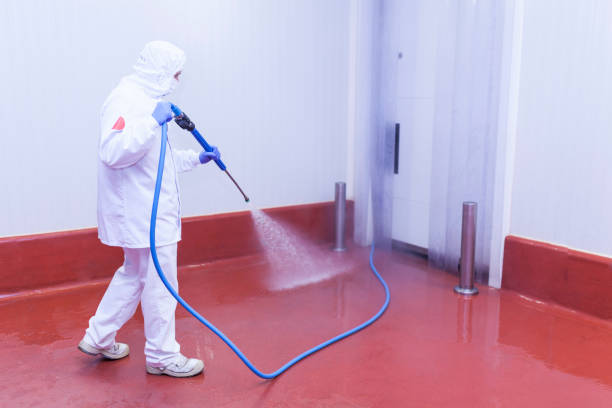 Best Sidewalk and Walkway Cleaning  in Sheldon, TX